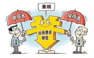 社保基金案，公共财富的守护与挑战