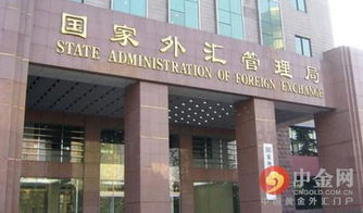 国家外汇管理局上海分局，金融监管的前沿阵地