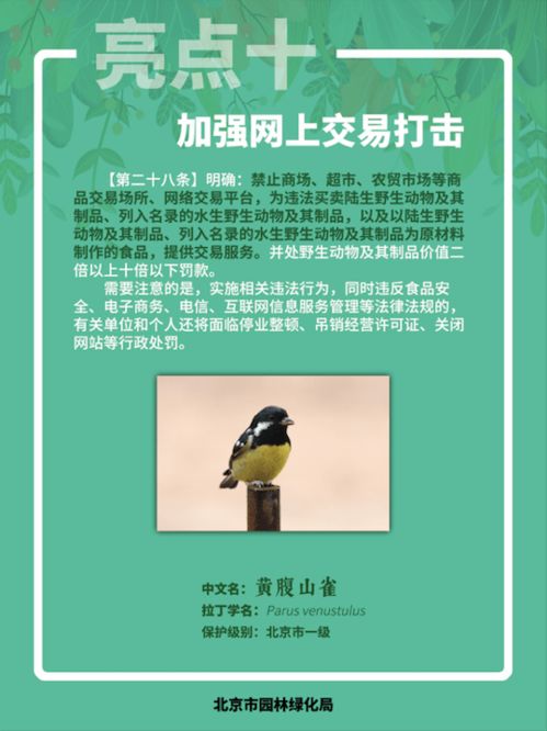 守护与规范，深入解读保安服务管理条例