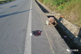 生死一线间，渠县特大交通事故的警示与反思