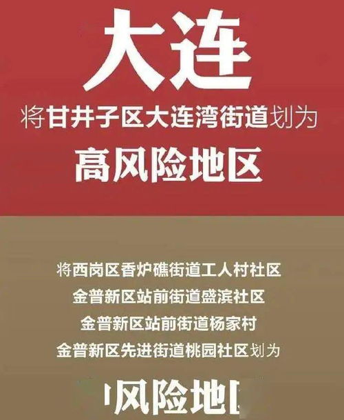 大连疫情新动态，今日新增病例的详细解读与影响