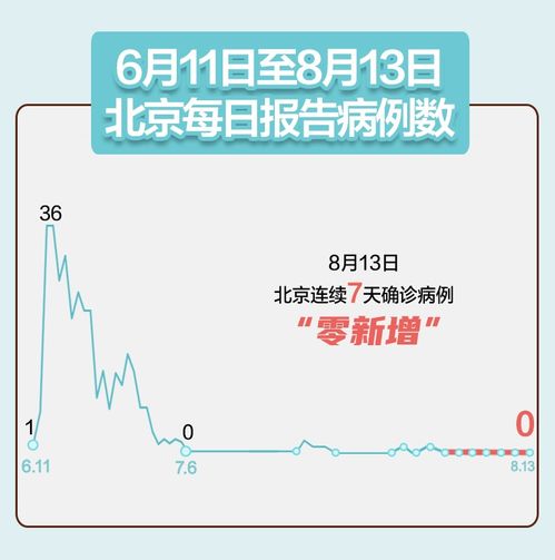 大连疫情新动态，今日新增病例的详细解读与影响