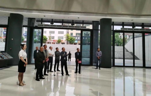 监事会工作报告，企业健康的守护者