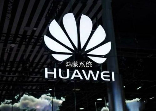 法眼看天下，法律视角下的全球现象与挑战