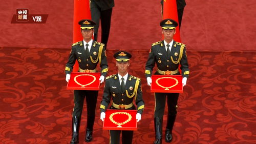 共和国勋章，国家至高荣誉的象征及其奖金背后的深意