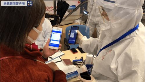 守卫国门的守护者，海关公务员的日常与重要性