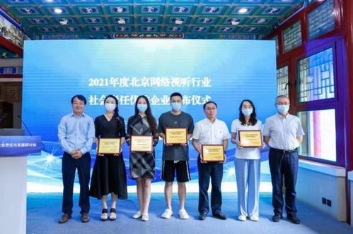 北京网络行业协会，守护数字世界的桥梁