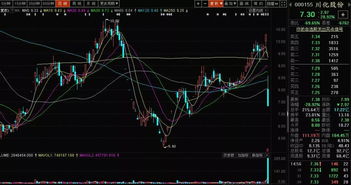 深入解析，股票市场的停牌机制及其影响