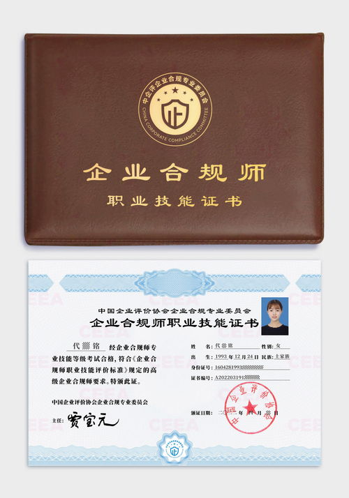 大连市工商局网上年检系统，企业合规管理的新篇章