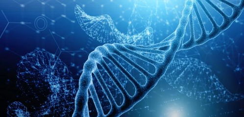 揭开DNA亲子鉴定的神秘面纱，科学、爱与真相的交汇点