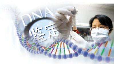 揭开DNA亲子鉴定的神秘面纱，科学、爱与真相的交汇点