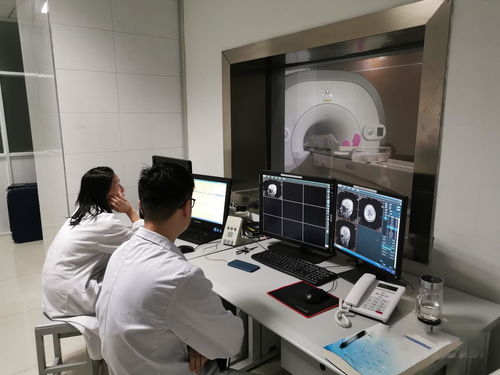 探秘上海私人诊所，高端医疗服务的隐秘角落