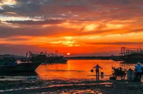 北海，海滨城市的魅力与房屋出租市场的新机遇