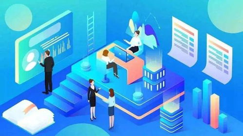 农村养老保险管理系统，保障农民福祉的数字化桥梁