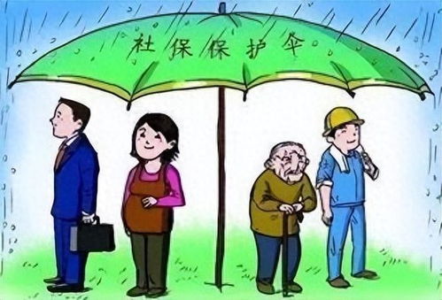 农村养老保险管理系统，保障农民福祉的数字化桥梁