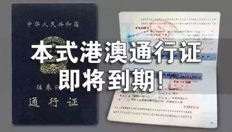 港澳通行证办理全攻略，申请流程、材料准备与注意事项