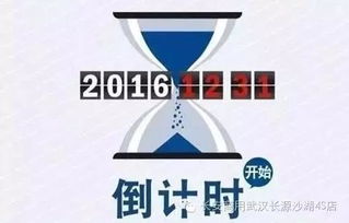 购置税减半政策，购车新机遇与经济影响解析