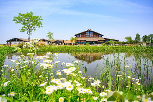 宁波新疫情，最新动态、防控措施与市民指南