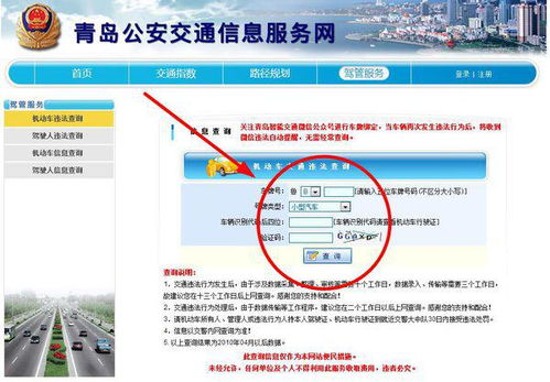 潍坊交通违章查询网，如何高效查询和管理您的违章记录