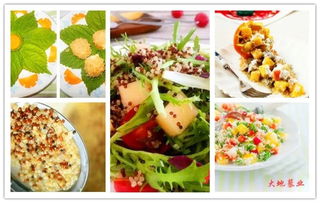 台湾食品安全，保障健康，共享美味