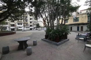 黑龙江省公务员小区，宜居环境与社区管理的典范