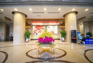 攀枝花租房全攻略，如何在阳光花城找到理想的家