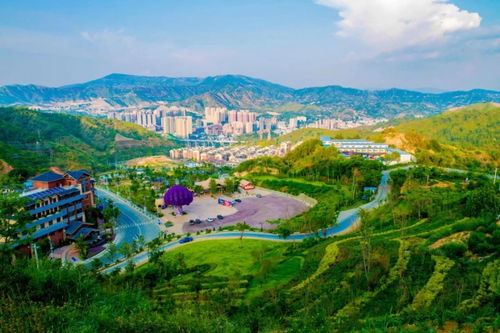 攀枝花租房全攻略，如何在阳光花城找到理想的家