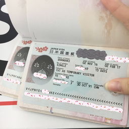 探索韩国之旅，轻松搞定签证办理全攻略