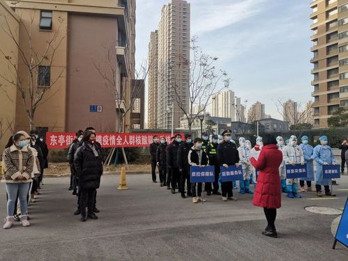 呼和浩特疫情最新，共同守护青城的春天