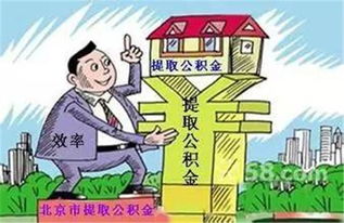 禁毒法的里程碑，2008年实施与深远影响