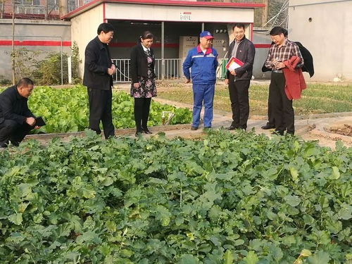 中原油田劳务工，默默无闻的石油英雄