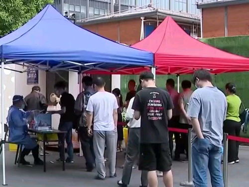 深入解析，31省份新增本土1908例，15816例的疫情动态及其影响