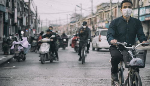 深入解析，31省份新增本土1908例，15816例的疫情动态及其影响