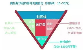 深度解析，居民医疗保险报销比例的奥秘与影响