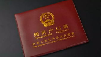 实用指南办理健康证，所需证件与流程全解析