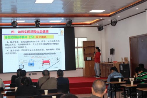 新疆人事厅，人才的摇篮，发展的助推器