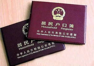 深入了解户口所在地，查询指南与重要性解析