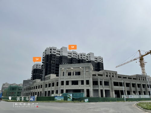 深入解析新监理规范，提升工程质量的金钥匙