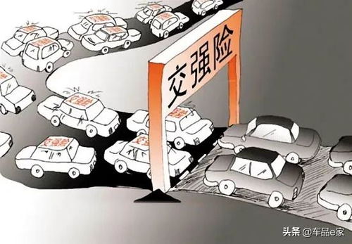 车险费用大揭秘，影响车险价格的因素及如何节省保费