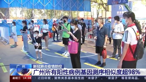 如何撰写一份清晰、准确的病例报告