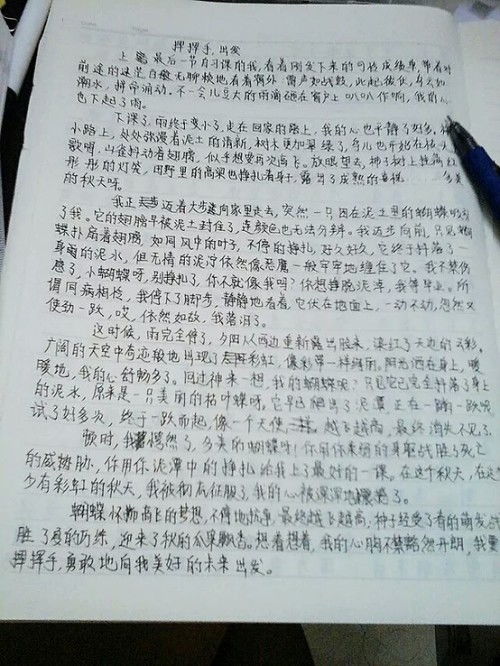 当考试遇到罚室，一篇作文的自我救赎之旅