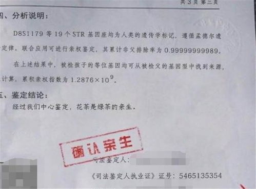 合肥亲子鉴定，科学与家庭关系的桥梁