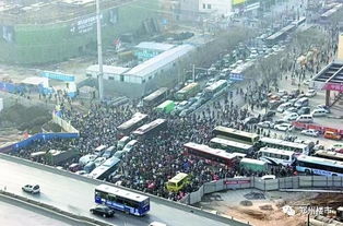 郑州疫情的挑战，一场与时间赛跑的战斗