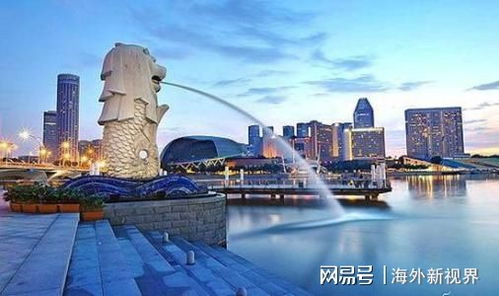 新加坡中介，揭秘亚洲金融中心的房产交易幕后英雄