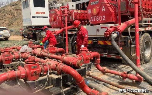 守护安全防线，揭秘保安性侵日记的重要性与应用