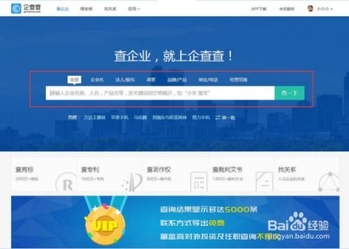 税务小白必读，一文教你如何查找和使用纳税人识别号