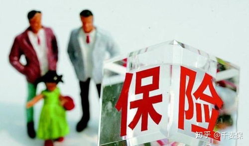 嘉禾人寿保险公司，保障未来，共筑梦想