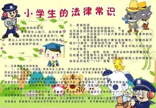 小小法律守护者，小学生必知的法律知识