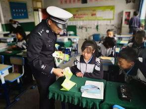 深入理解公安网通缉犯，保护社会安全的重要一环