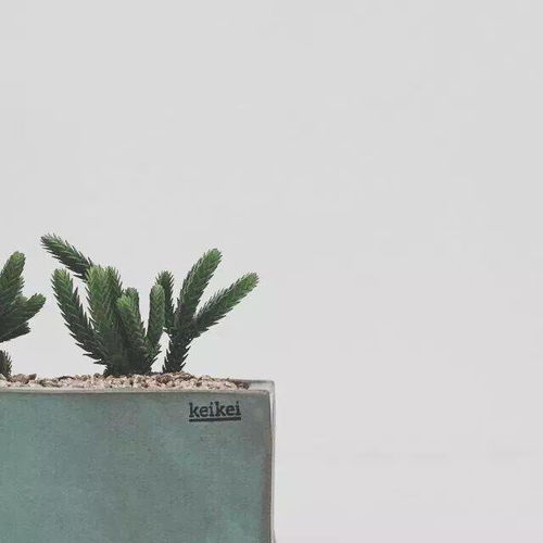 和解之光，手镯事件的圆满结局